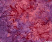 raspberry sherbert